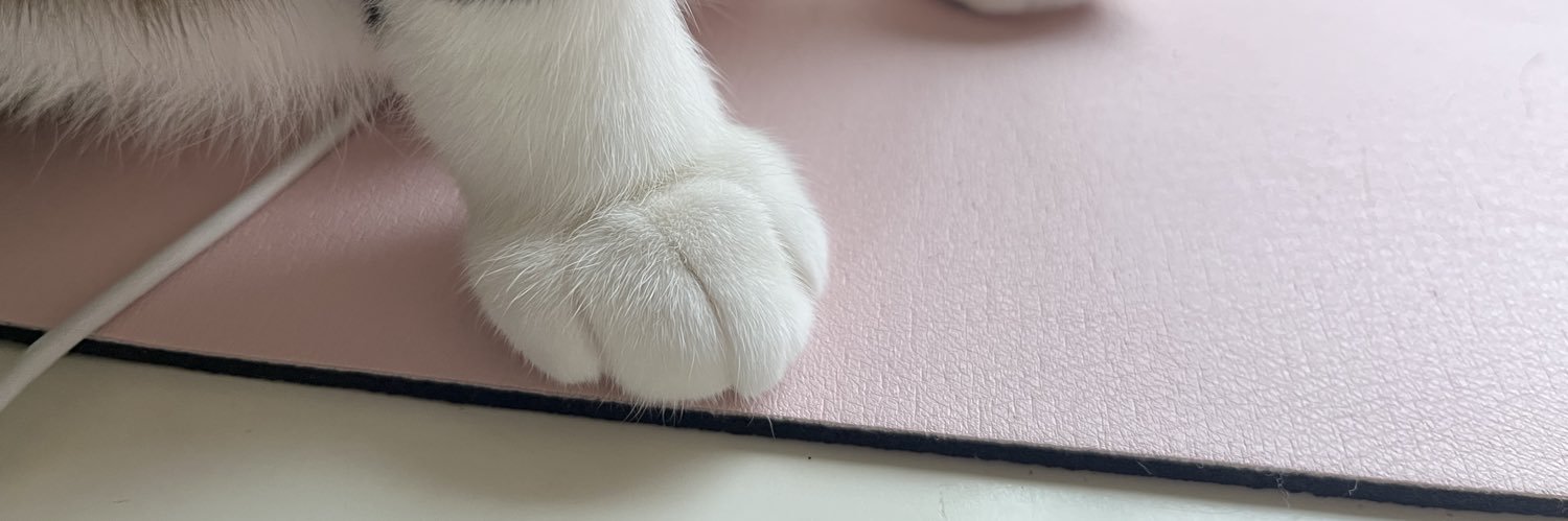 mrsplaysnogames's profile banner image