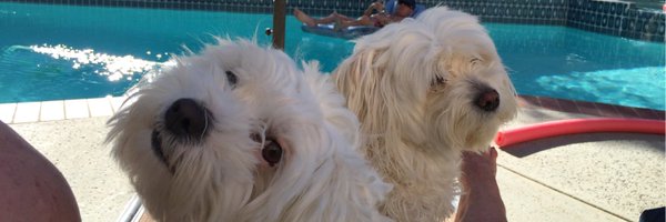 ChattyCathy12 Profile Banner