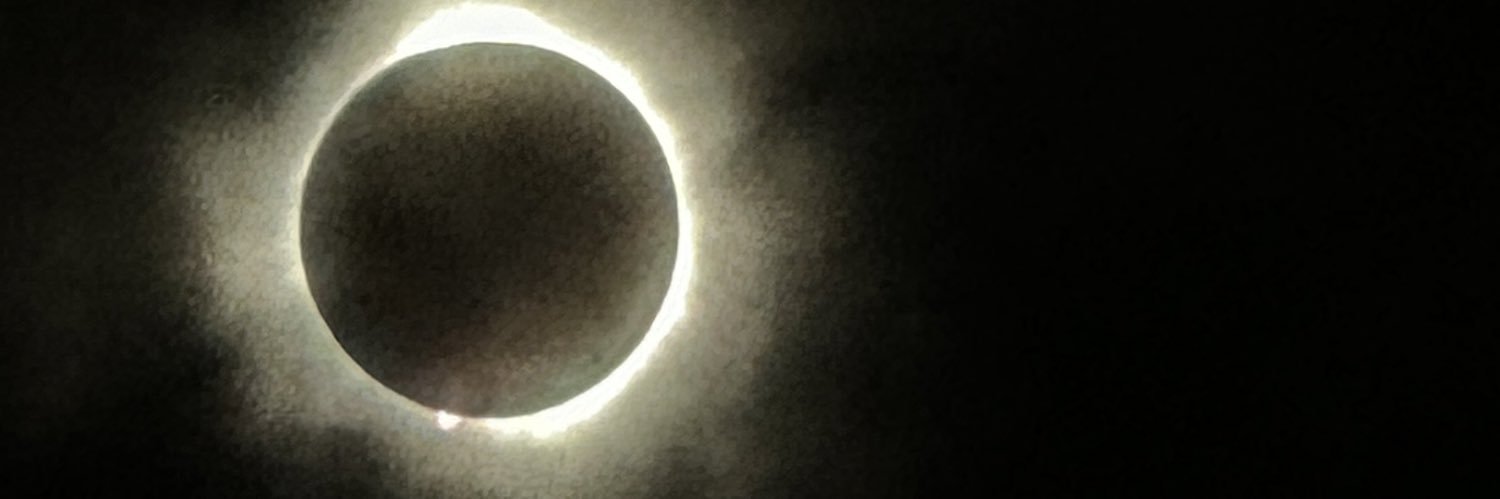 AvaChecchio's profile banner image