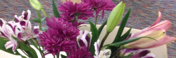 TGHeden Profile Banner