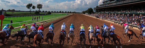 RockinghamRanch Profile Banner