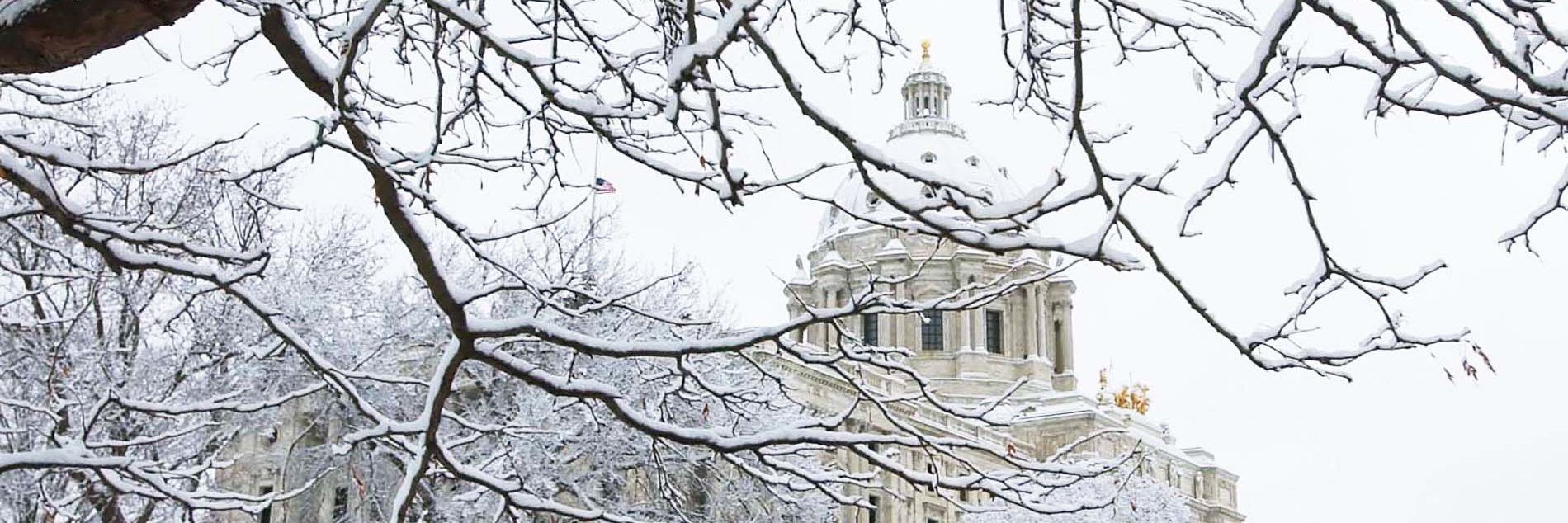 Julie Sandstede banner