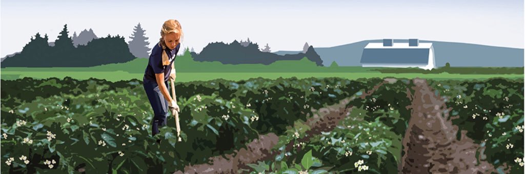 GingerKieffer's profile banner image