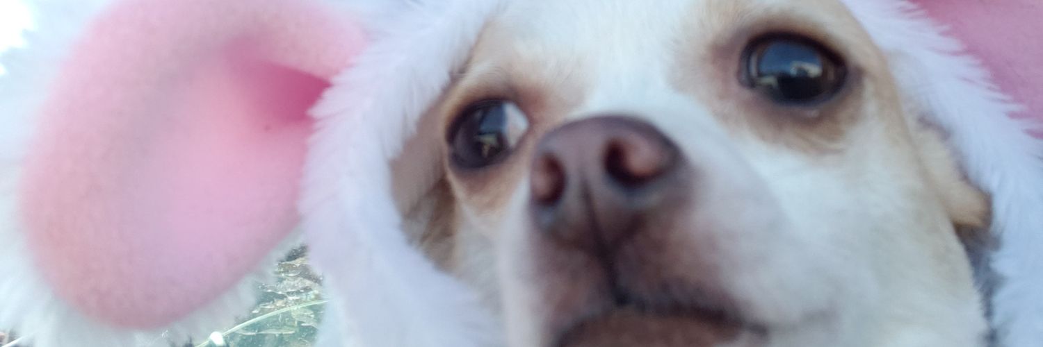EdinMesic3's profile banner image