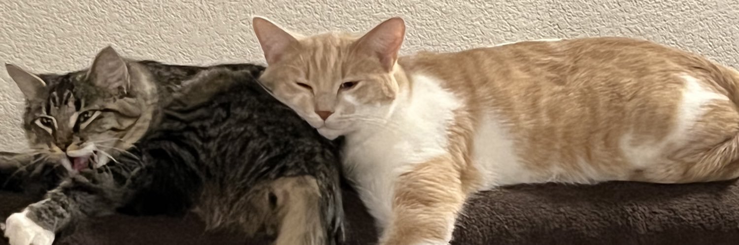 cajiky's profile banner image