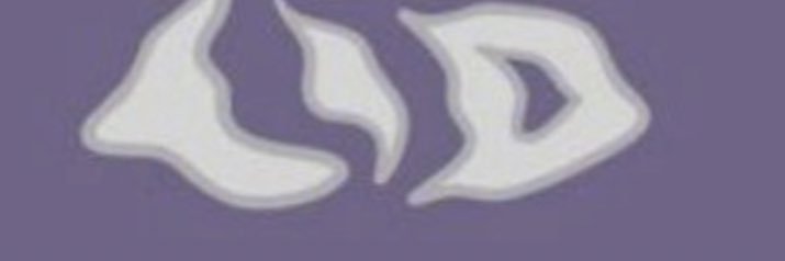 lidcoin's profile banner image