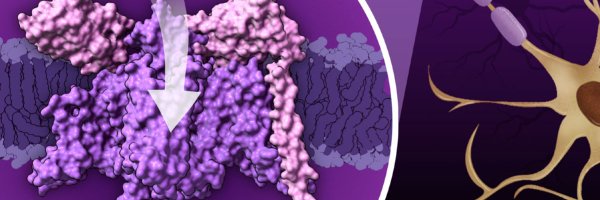buildmodels Profile Banner