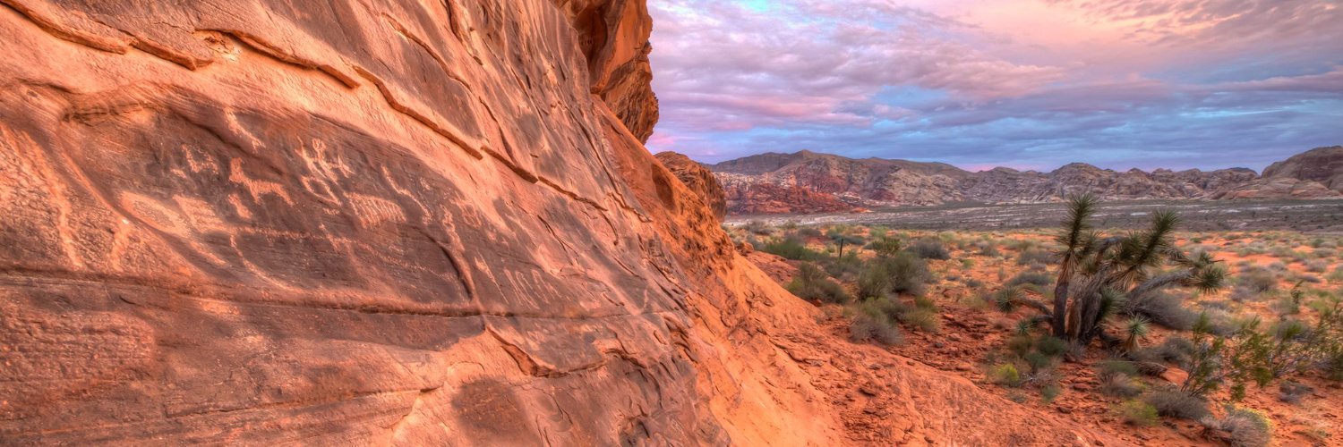 Senator Jacky Rosen's banner