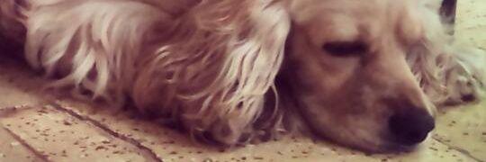 LuisE1018's profile banner image