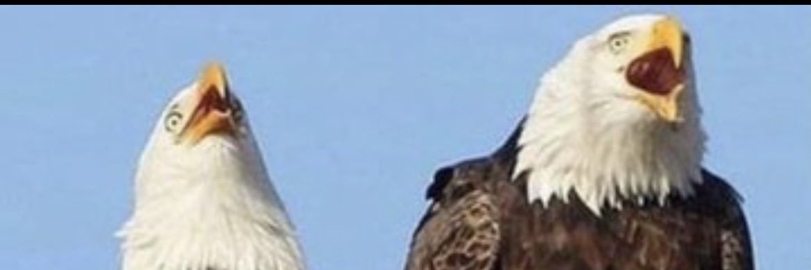 WASTATEPATRIOT1's profile banner image