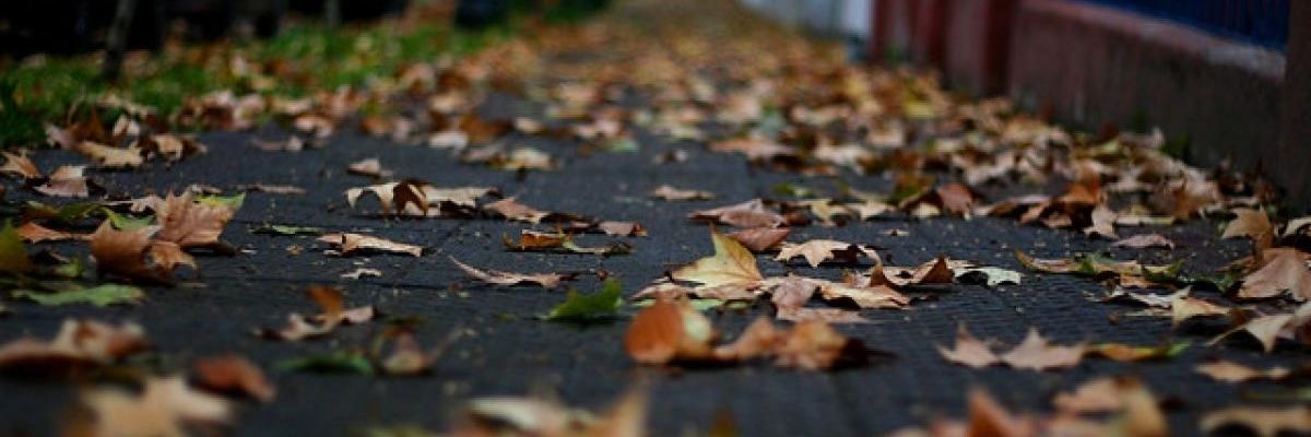 daninnni's profile banner image