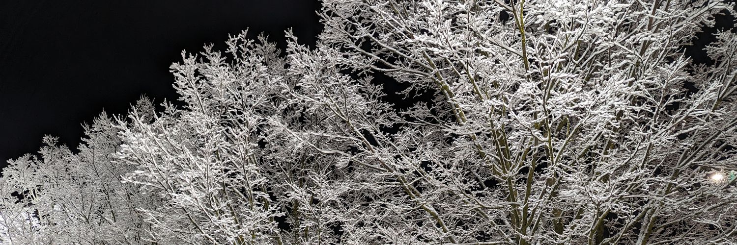 Leiwyn7's profile banner image