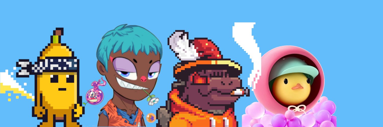 0xStellarRider banner