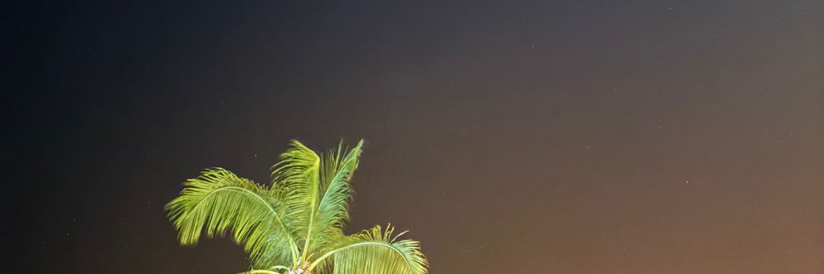 dianaeJc's profile banner image
