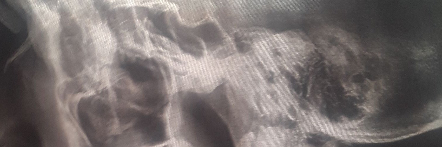 chrisatanico's profile banner image