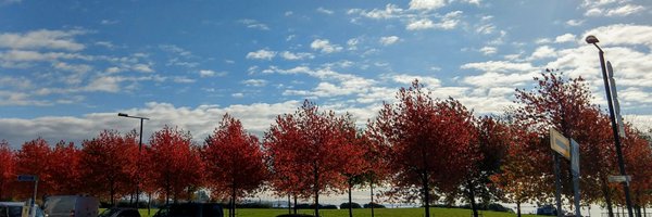 suj1th Profile Banner