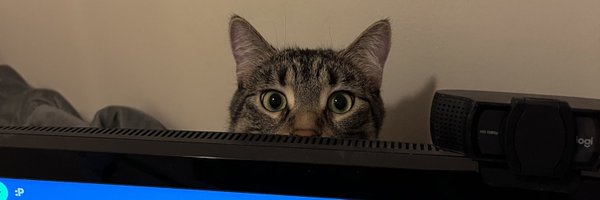 kaprixal Profile Banner