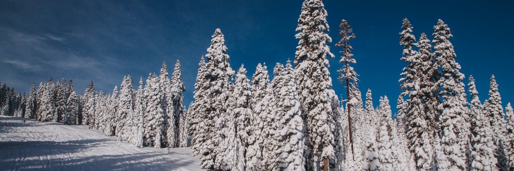 burtongirls's profile banner image