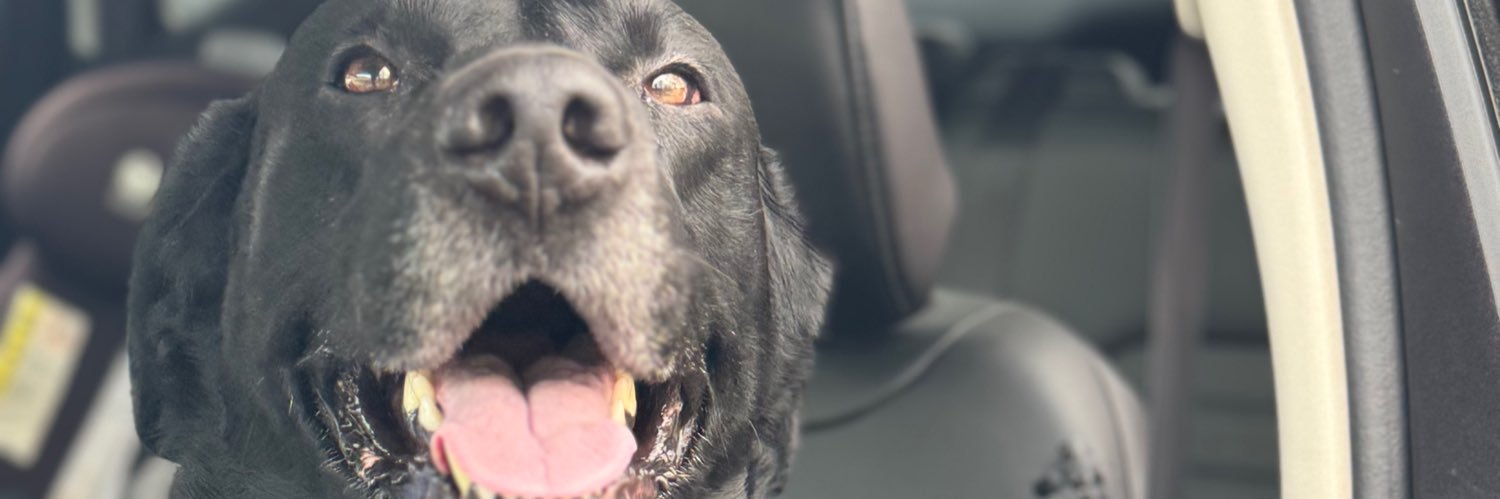 loganloring10's profile banner image