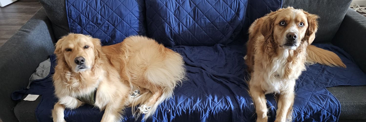 THETsouder's profile banner image