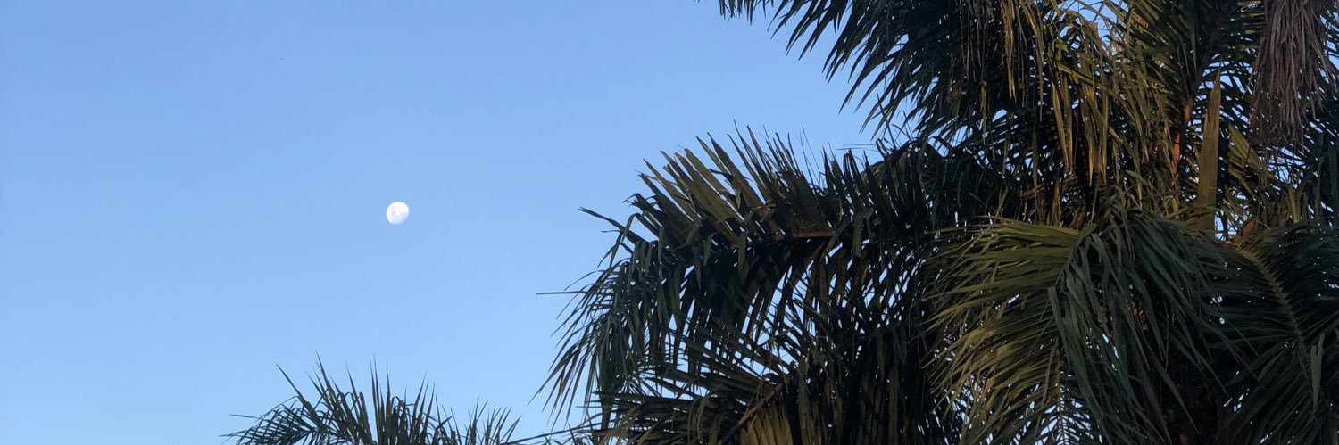 AriSchirado's profile banner image