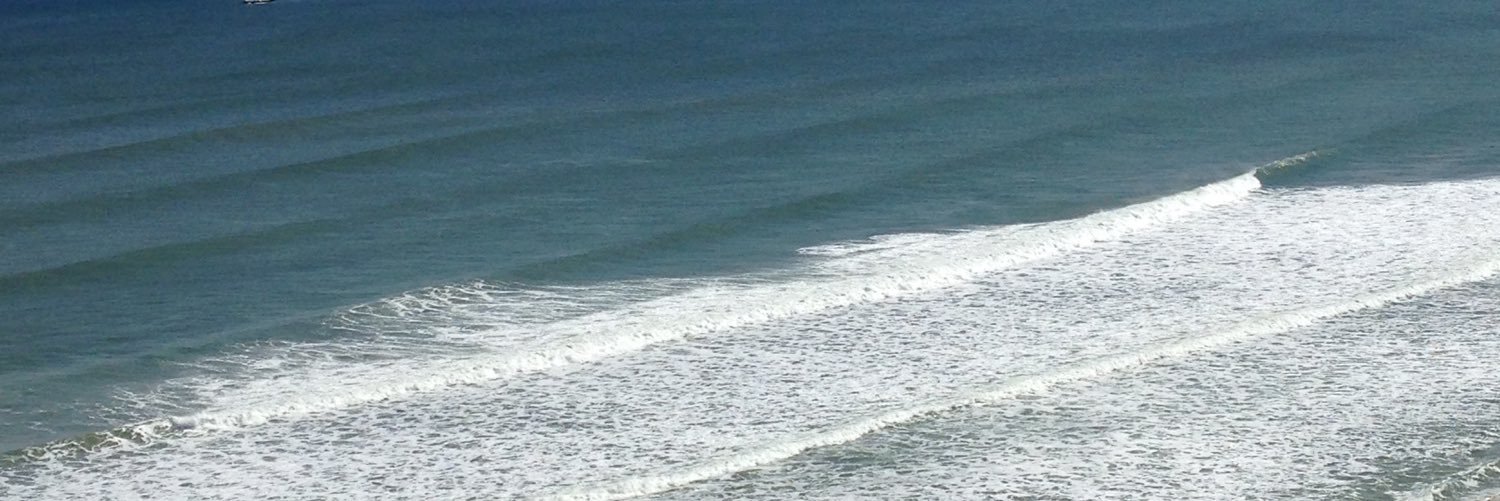 Pilchi's profile banner image