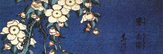 m_tr1vi's profile banner image