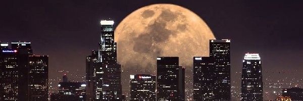 ChocoChipBB's profile banner image