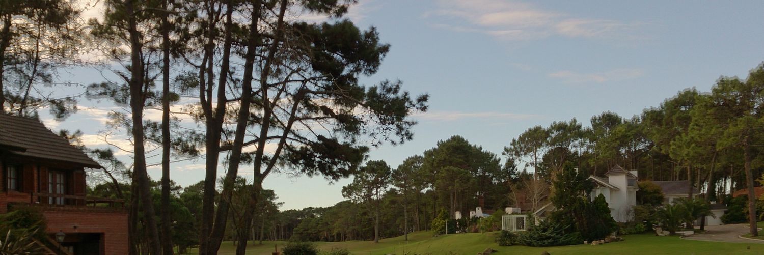 AnidePinamar's profile banner image