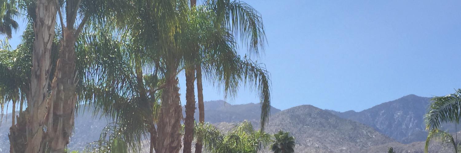 rhiannongreene's profile banner image