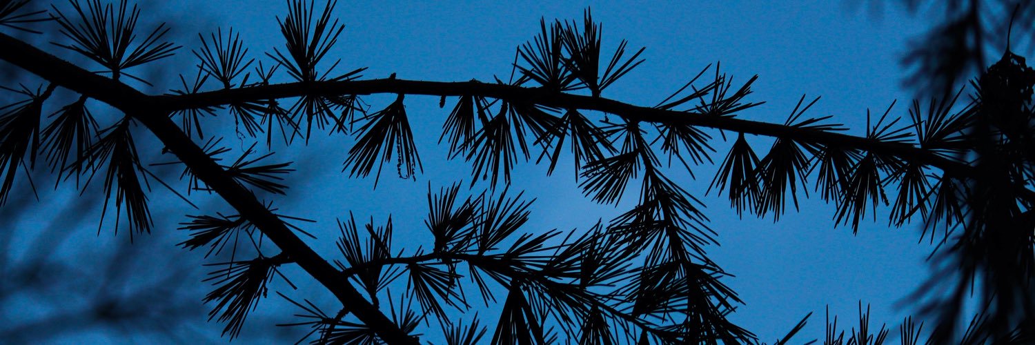 FMBuzz_julianna's profile banner image