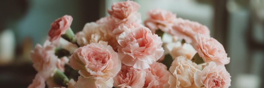 Sophia 🌺's banner