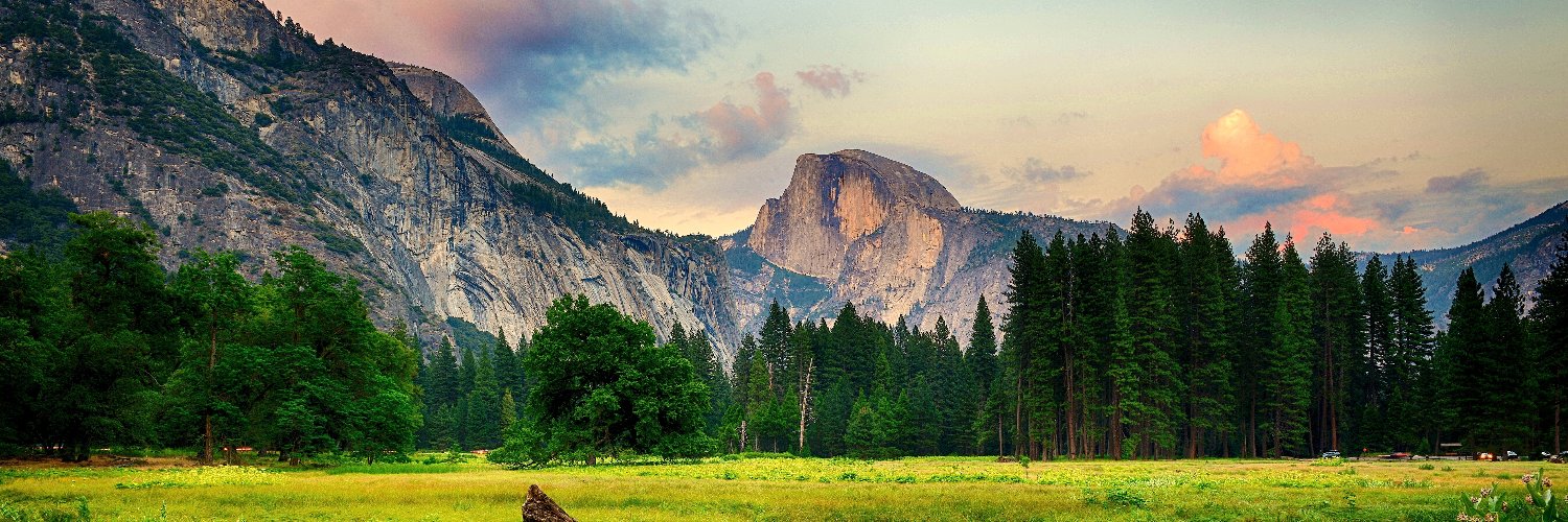 degenlatte's profile banner image