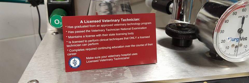 ExoticsVetTech's profile banner image