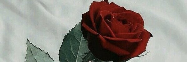 Kevin__Sol Profile Banner