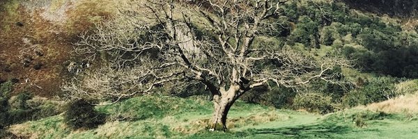 jcpcameron Profile Banner