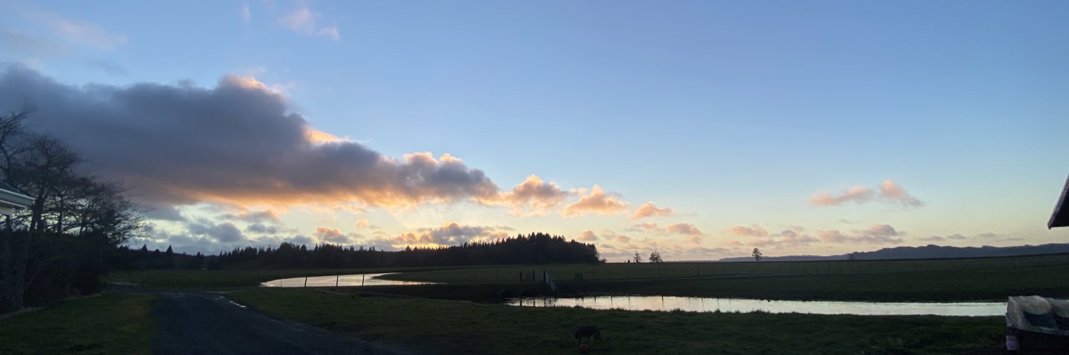 MadiPady's profile banner image