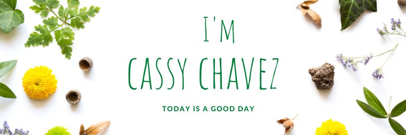 CassyChavez banner