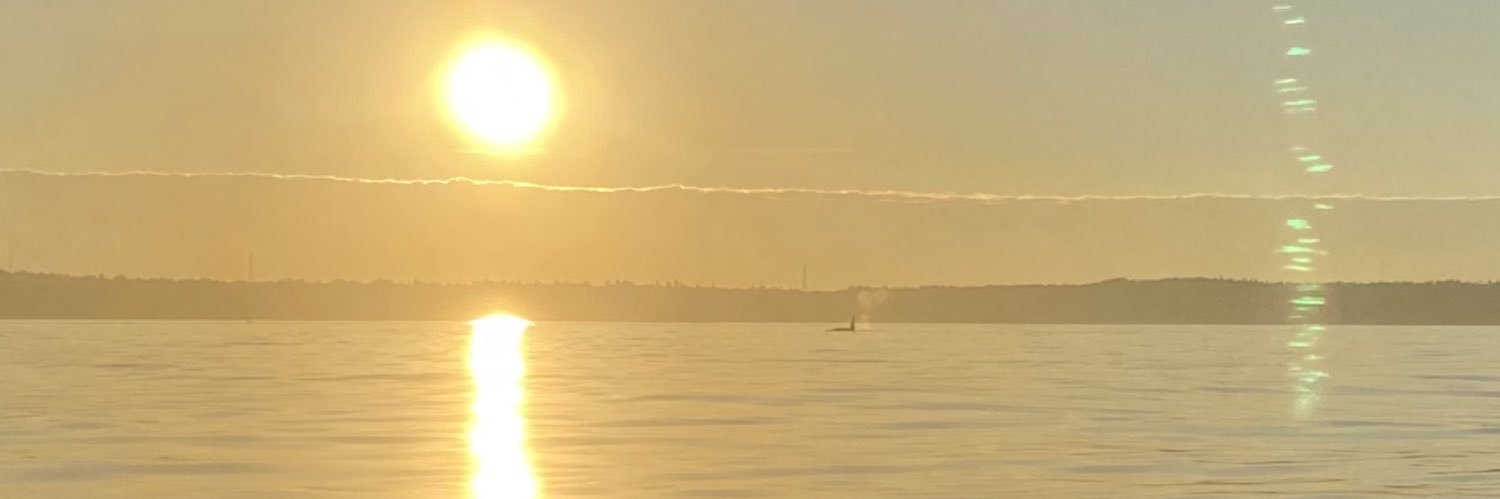 ForsterMichael9's profile banner image
