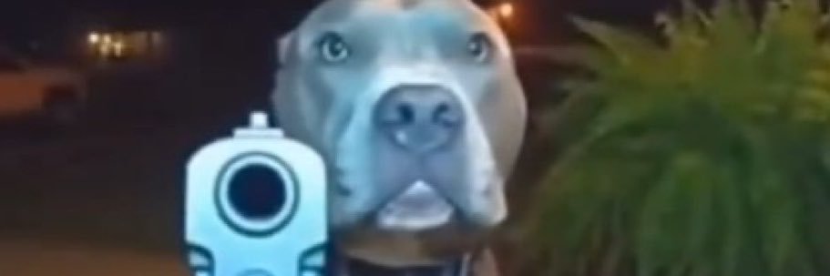 AyyoDude's profile banner image