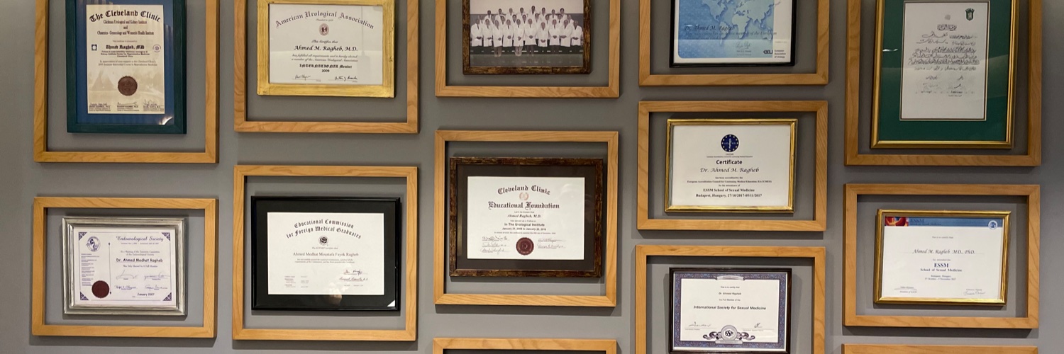 Ahmed M. Ragheb, MD, PhD, FECSM banner