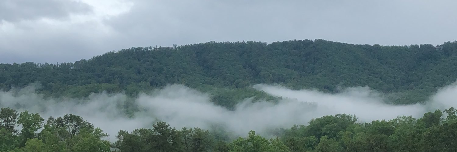 Breann_N's profile banner image