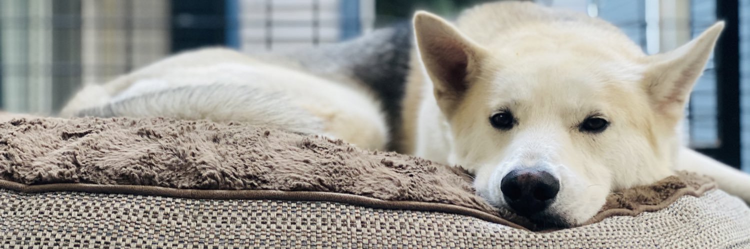 MoeRockka's profile banner image