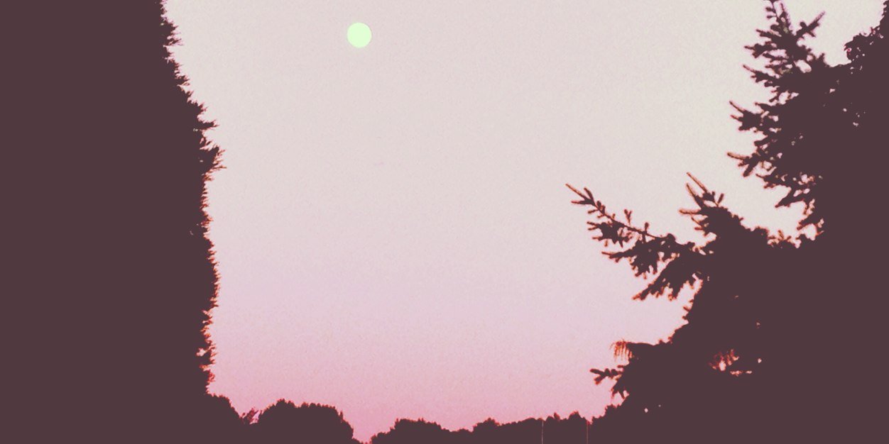 Sarah_Mo_RHN's profile banner image