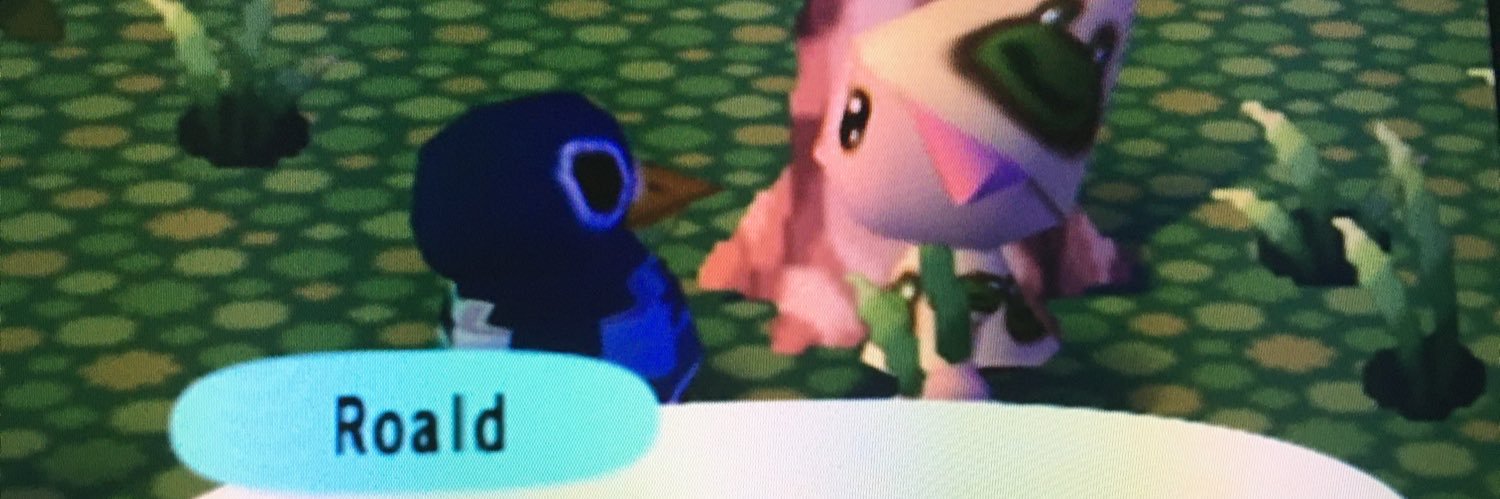 K ᶘ ᵒᴥᵒᶅ🧃 banner