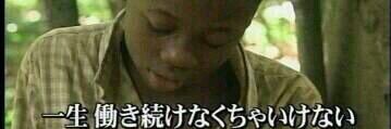 かめ banner