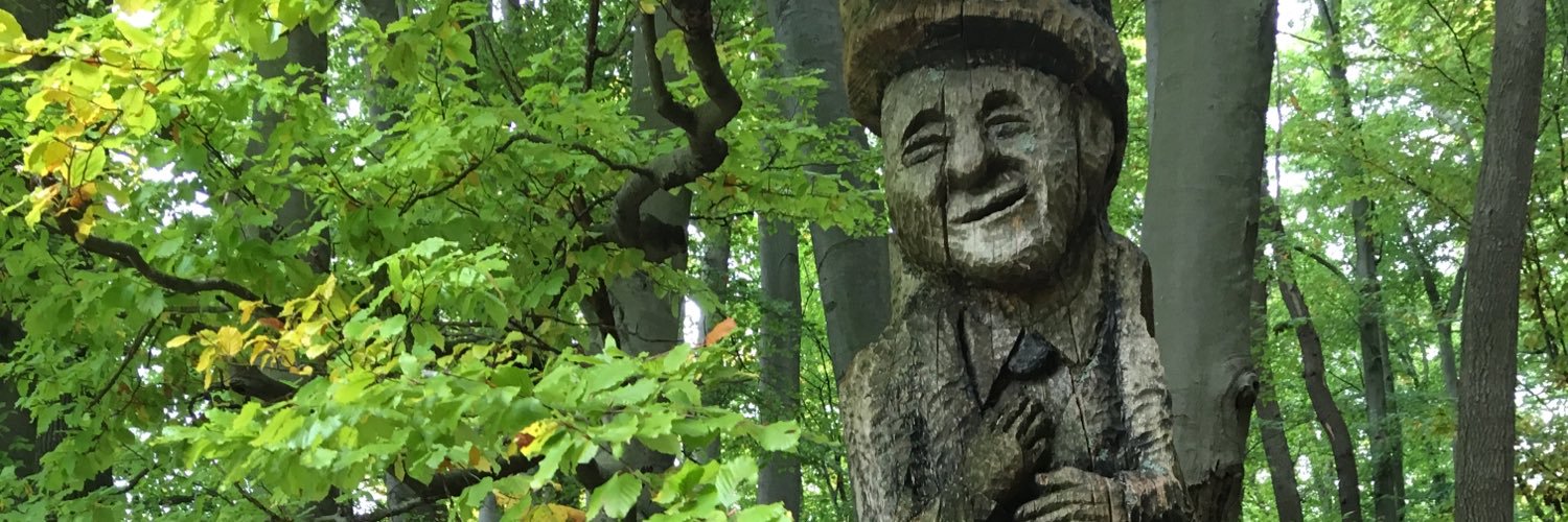 degeronimi's profile banner image