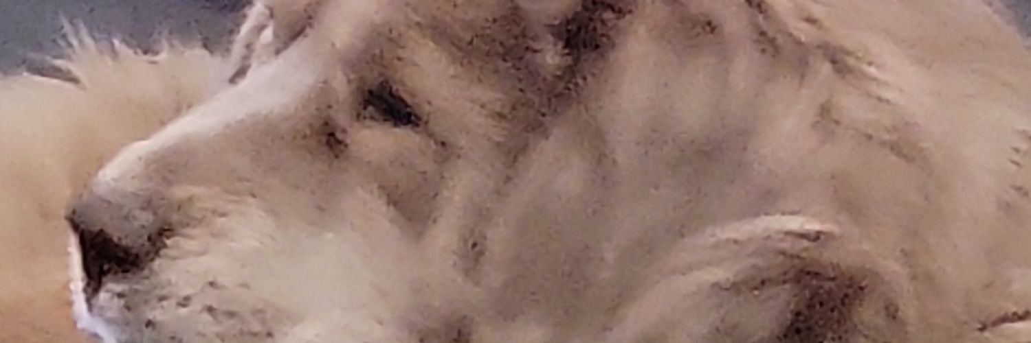 SmallEssmall615's profile banner image