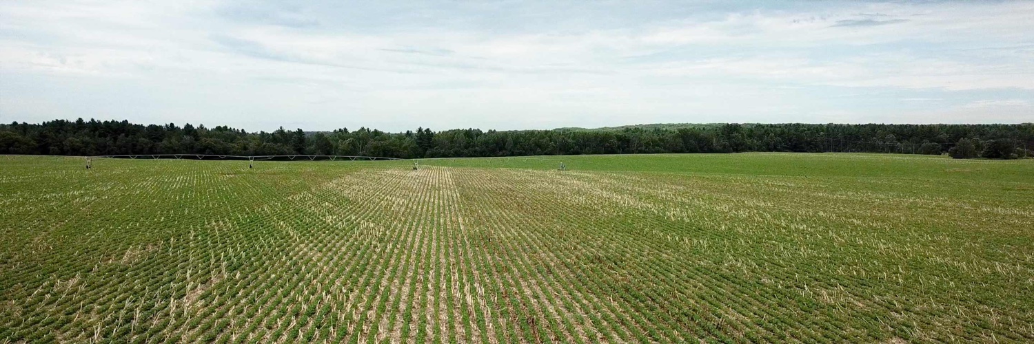 Fall Line Capital banner