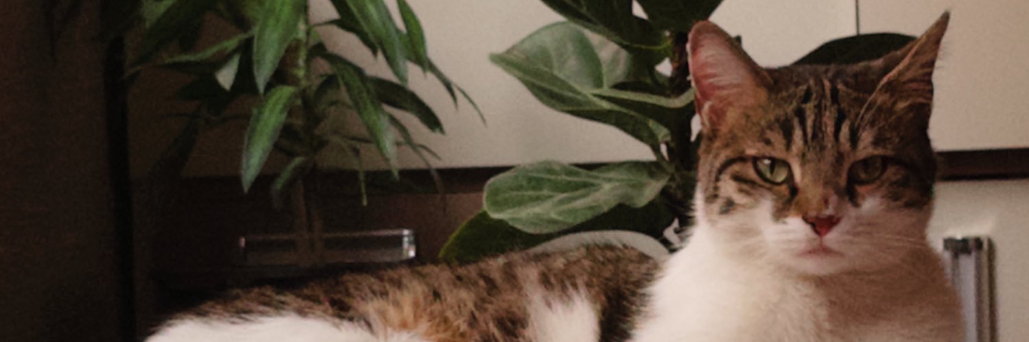 لونا لاوگود banner